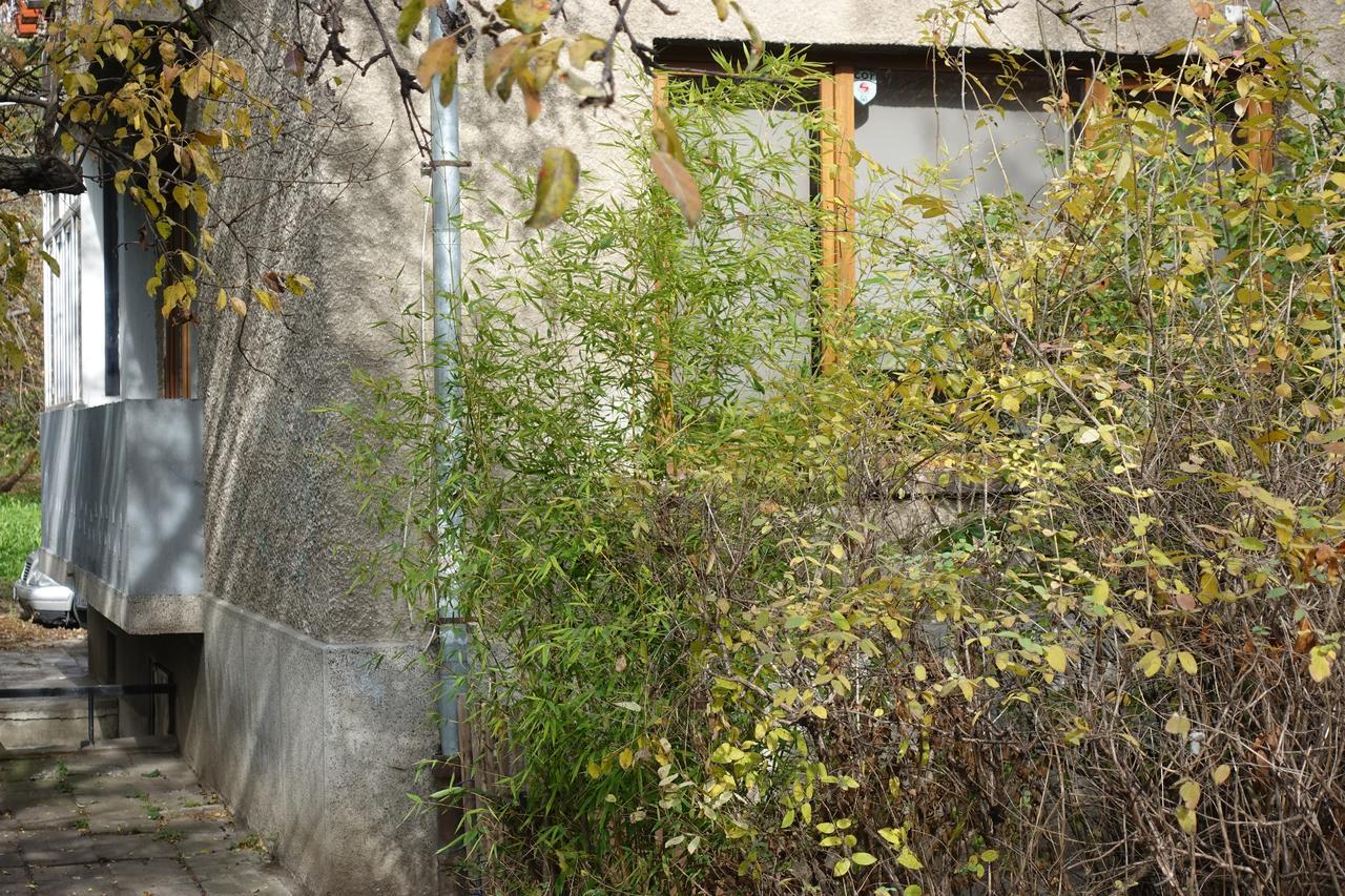 Wendy House Apartment Sofia Exterior foto